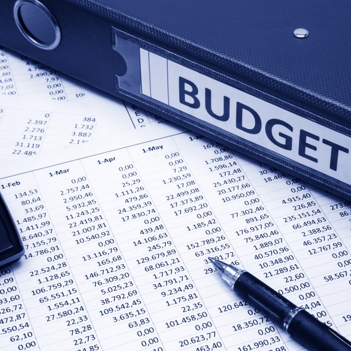 A blue folder and spreadsheet with the words budget on it